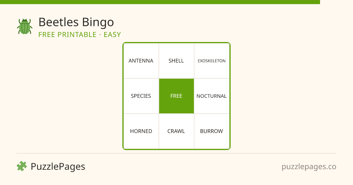Beetles Easy printable bingo preview — free to print from PuzzlePages