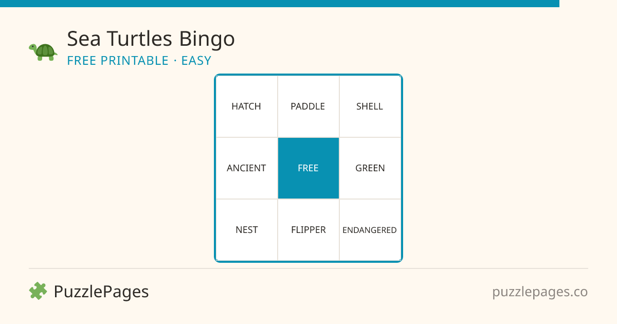 Sea Turtles Easy printable bingo preview — free to print from PuzzlePages