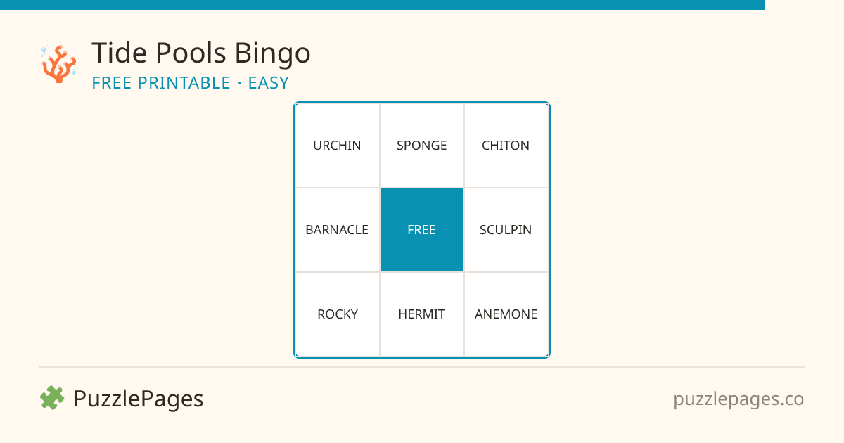 Tide Pools Easy printable bingo preview — free to print from PuzzlePages