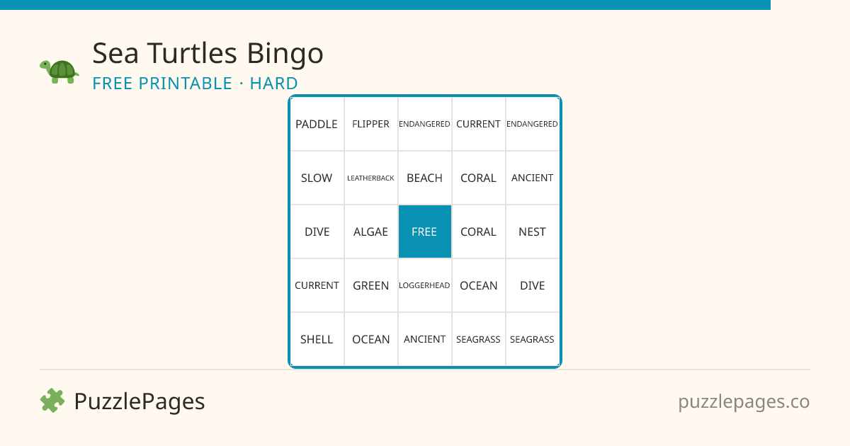 Sea Turtles Hard printable bingo preview — free to print from PuzzlePages