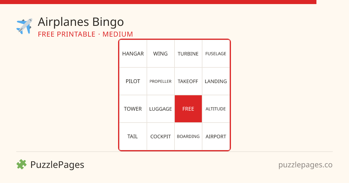 Airplanes Medium printable bingo preview — free to print from PuzzlePages