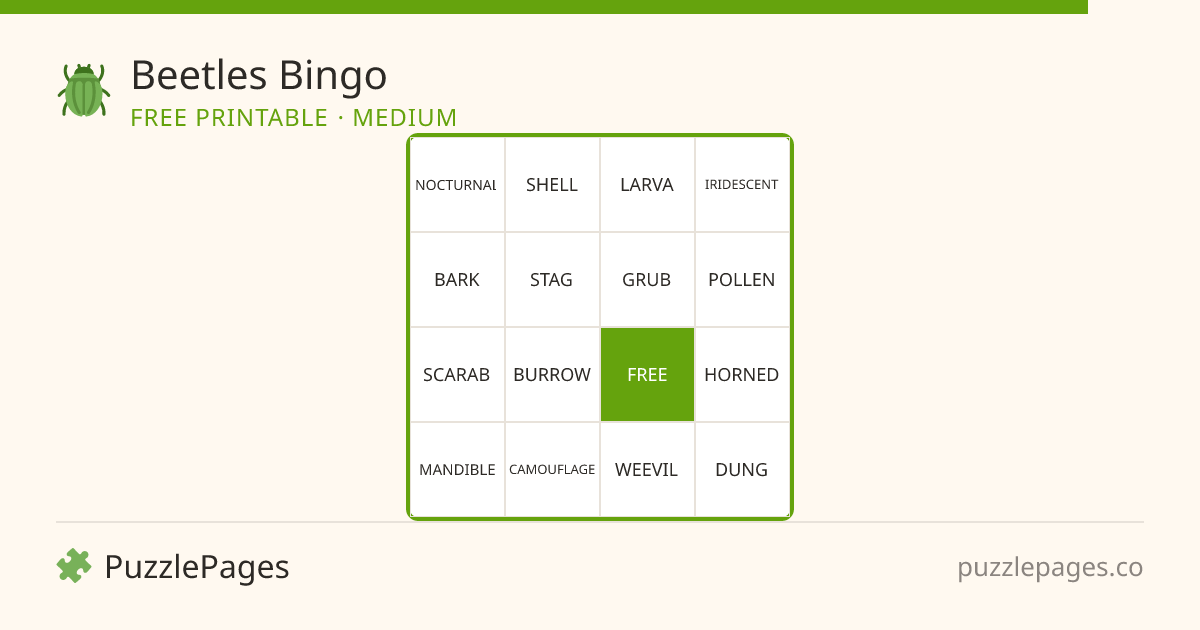 Beetles Medium printable bingo preview — free to print from PuzzlePages