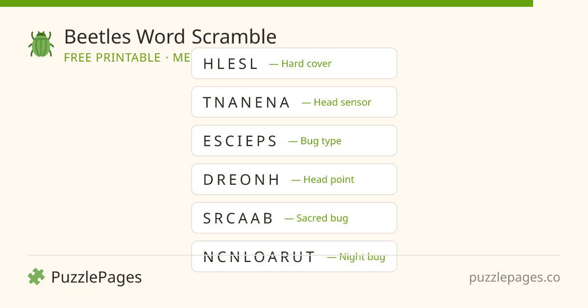Beetles Medium printable word scramble preview — free to print from PuzzlePages