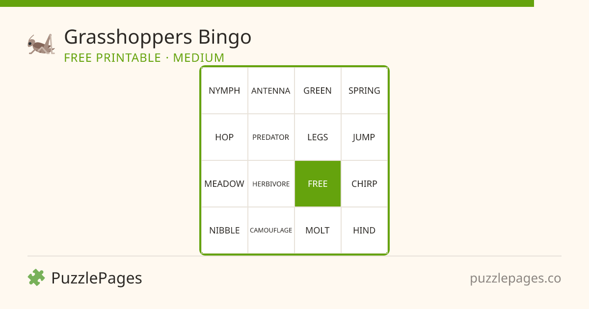 Grasshoppers Medium printable bingo preview — free to print from PuzzlePages