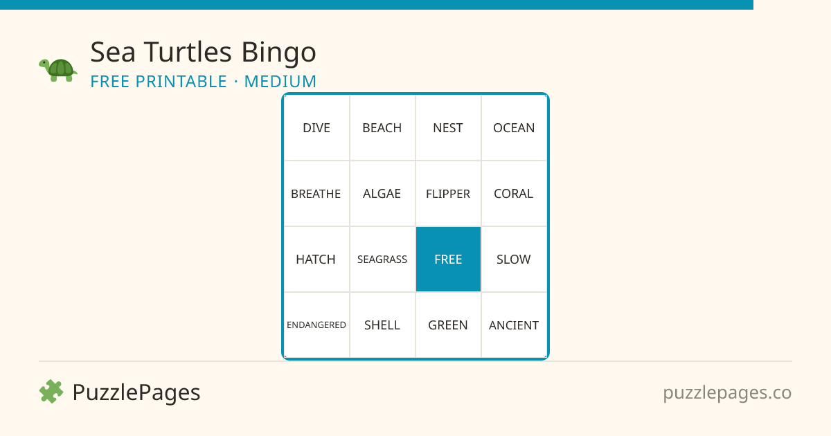 Sea Turtles Medium printable bingo preview — free to print from PuzzlePages