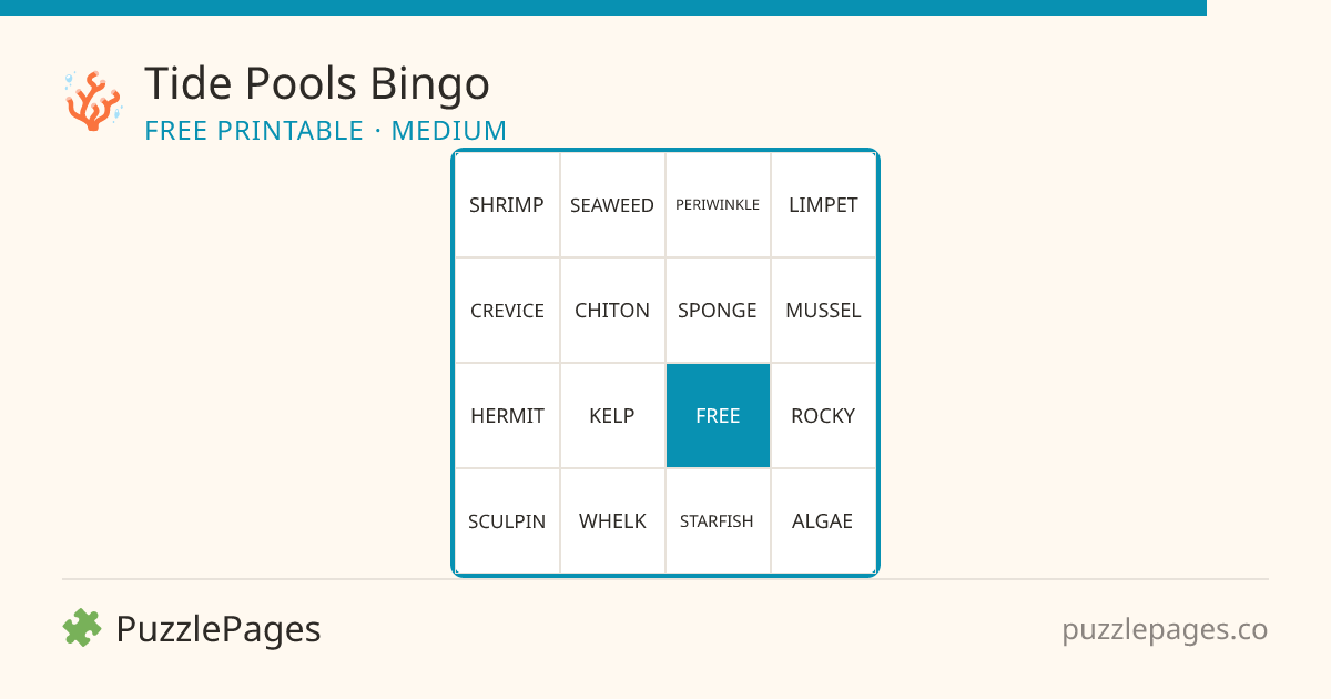 Tide Pools Medium printable bingo preview — free to print from PuzzlePages