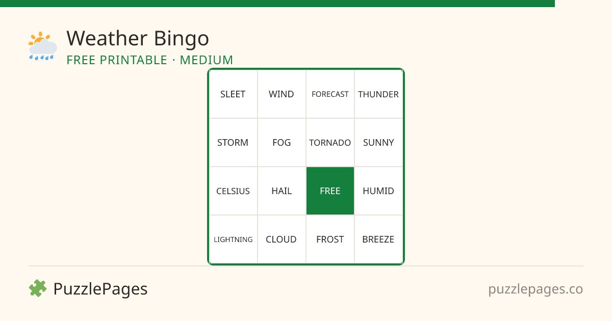 Weather Medium printable bingo preview — free to print from PuzzlePages